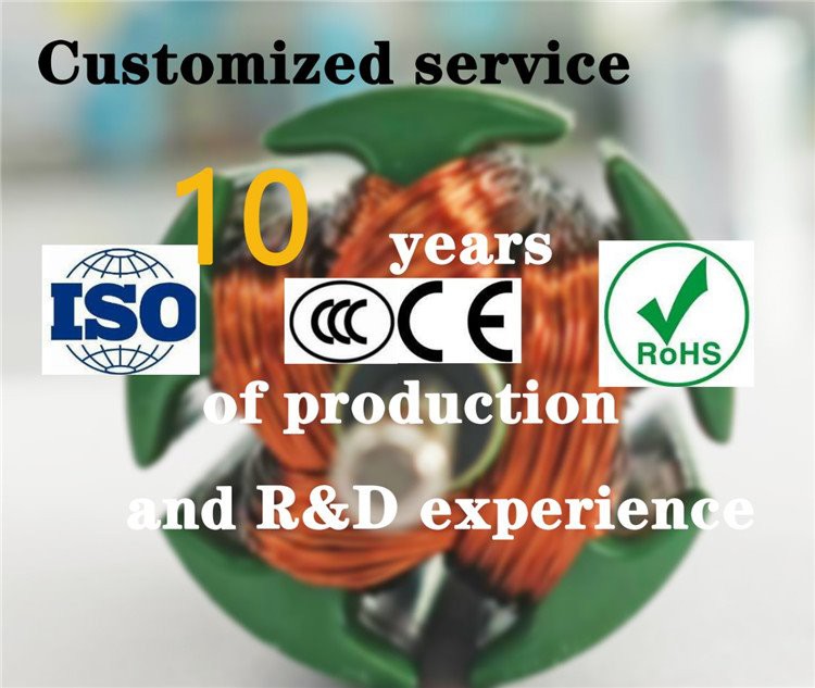 520TC brushless dc motor