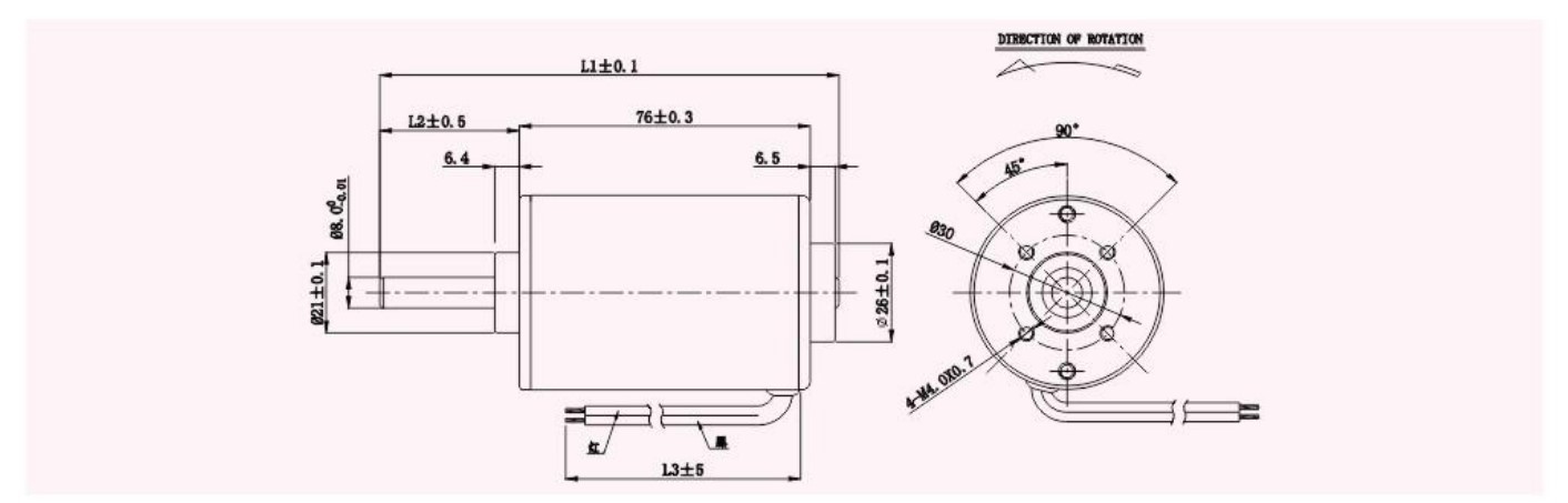5176SH motor outline 