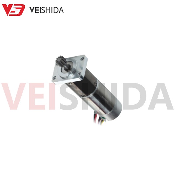 VSD - 22PG2233 Small Gear Motor VSD - 22PG2233 Small Gear Motor