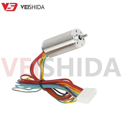 Micro Coreless DC mootor